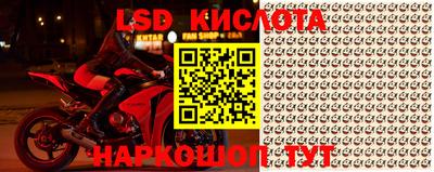 прущие грибы Бийск