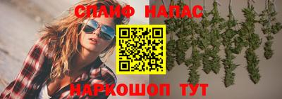 прущие грибы Бийск