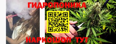 спайс Берёзовский