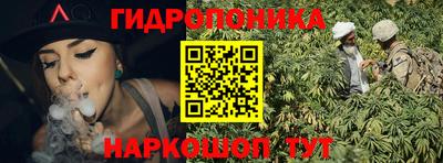 спайс Берёзовский