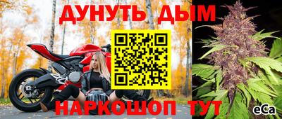 прущие грибы Бийск