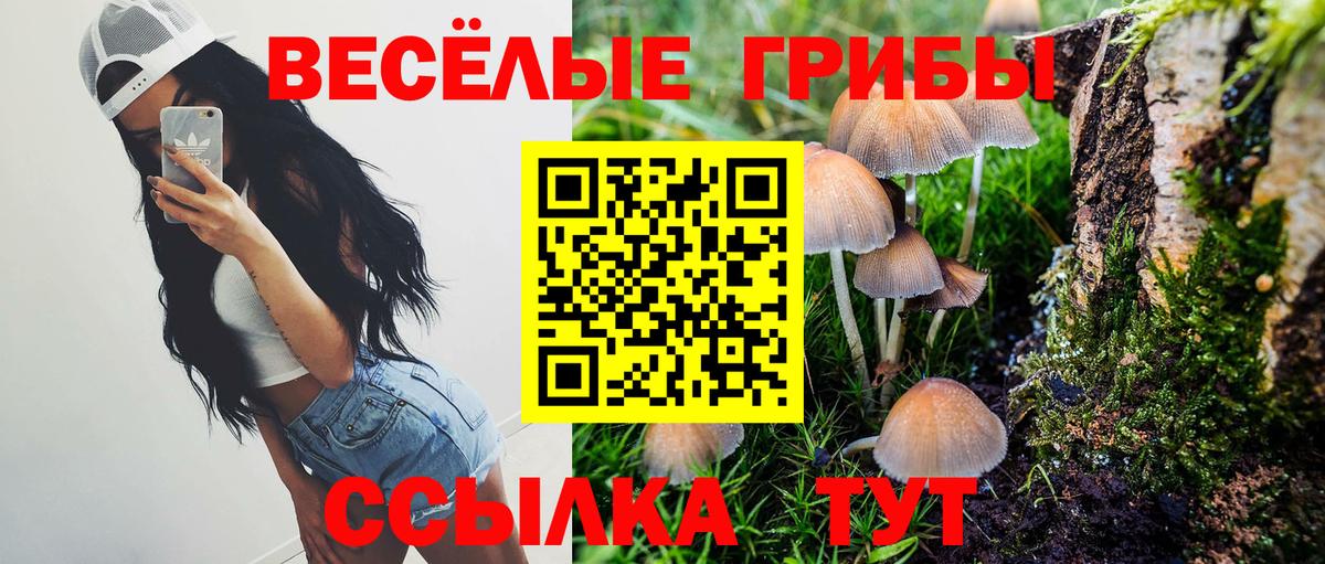 Норильск  Галлюциногенные грибы прущие грибы  Псилоцибиновые грибы мицелий  Вход с VPN 