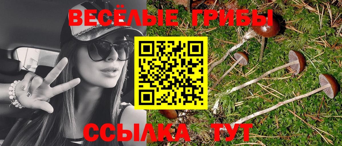 Псилоцибиновые грибы мицелий Норильск
