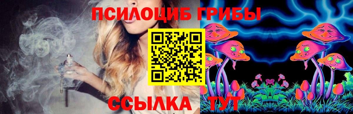 Галлюциногенные грибы мицелий  дарнет шоп  Норильск 
